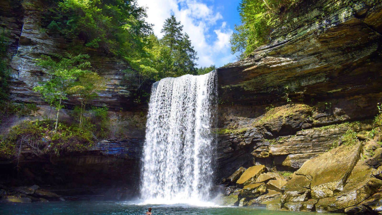 A man is swimming in a serene pool of water beside a beautiful waterfall, with vibrant foliage in the background.