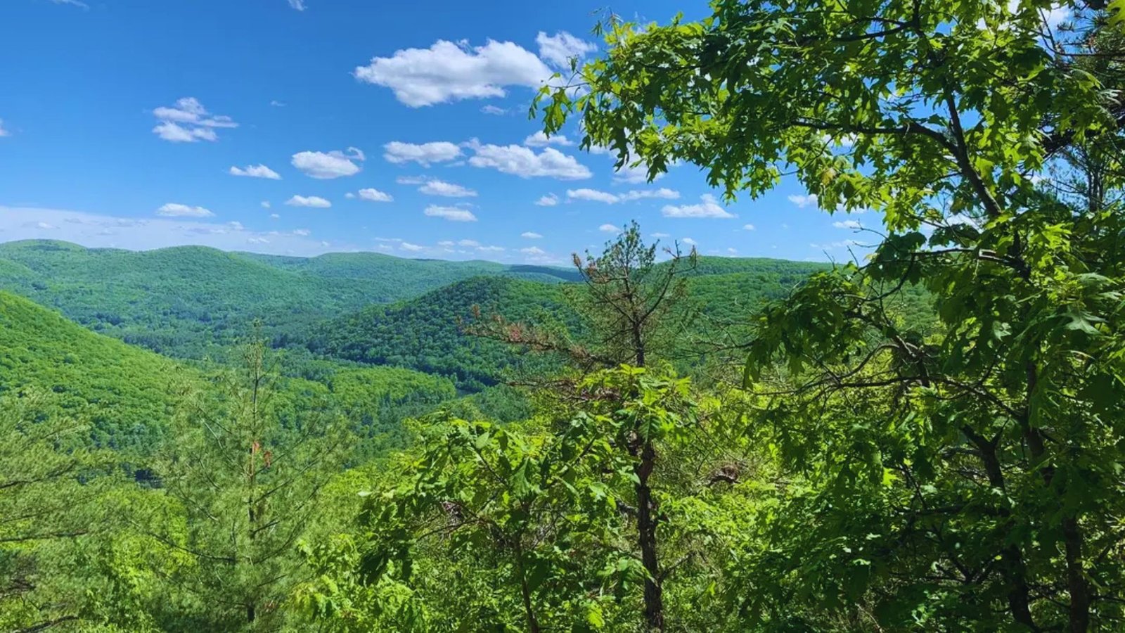 A panoramic view from a mountain peak, showcasing a lush valley below under a clear blue sky.