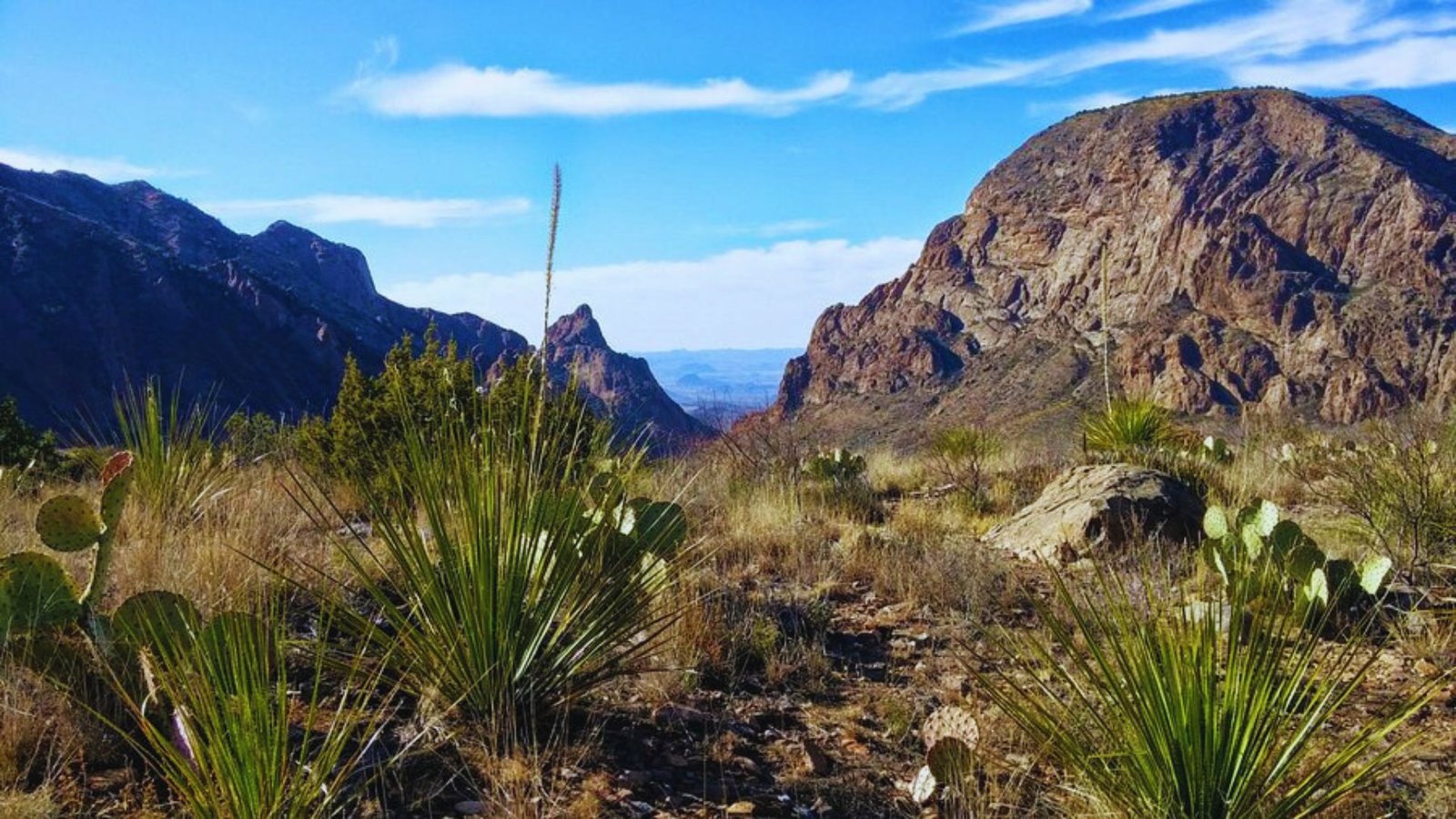 Panoramic view from a Texas mountain summit, showcasing vast landscapes and distant hills under a clear blue sky.

