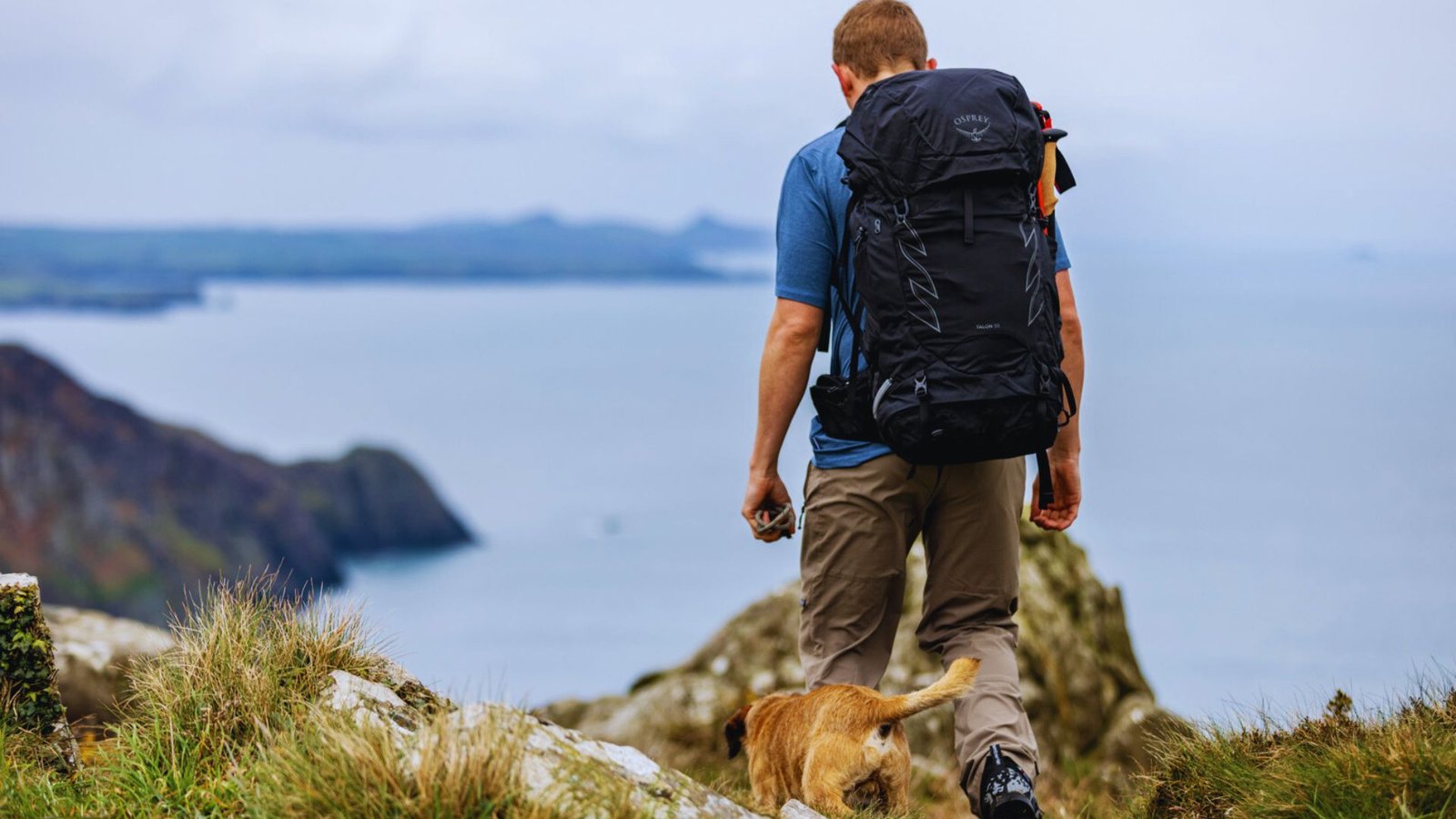 A man with a backpack walks a dog on a grassy hill under a clear blue sky.