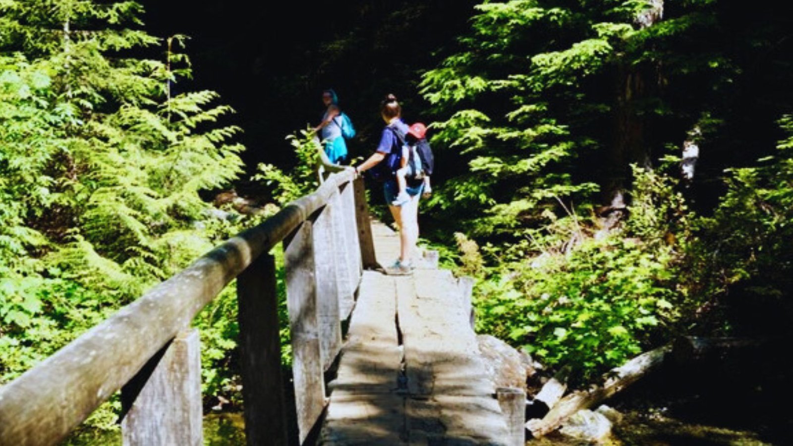 Two hikers crossing a wooden bridge on the Barclay Lake Trail in the woods of Washington.
