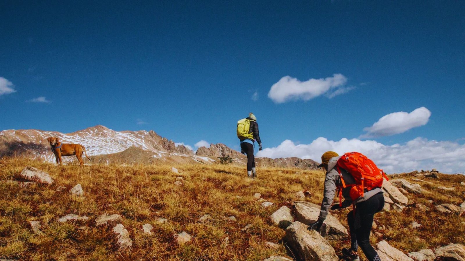  Two hikers with backpacks ascend a mountain trail, surrounded by rocky terrain and greenery.