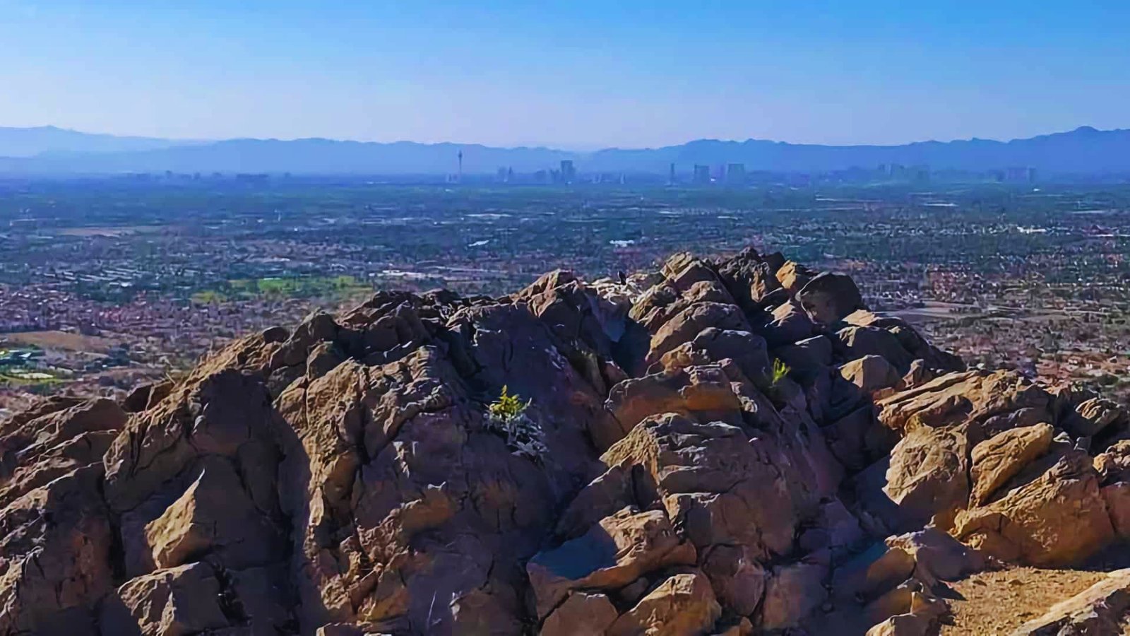 A panoramic view of the city skyline from the summit of Lone Mountain Trail, showcasing urban buildings and greenery.

