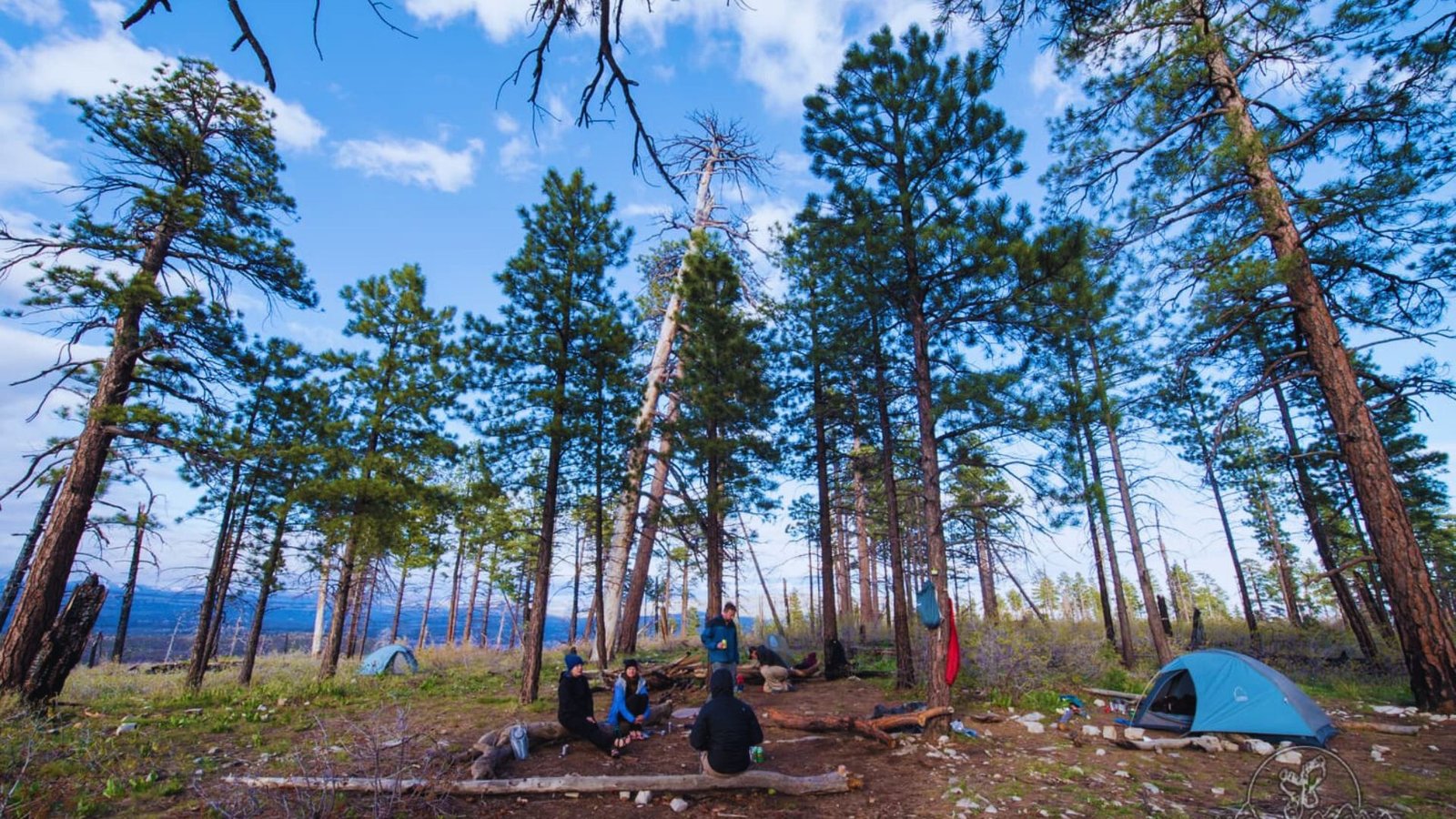 A serene mountain campsite with a tent surrounded by tall trees and rocky peaks under a clear blue sky.
