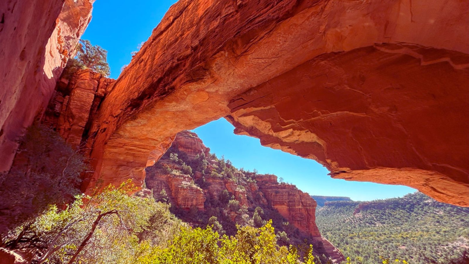 A distant view of a striking red rock arch against a clear sky.