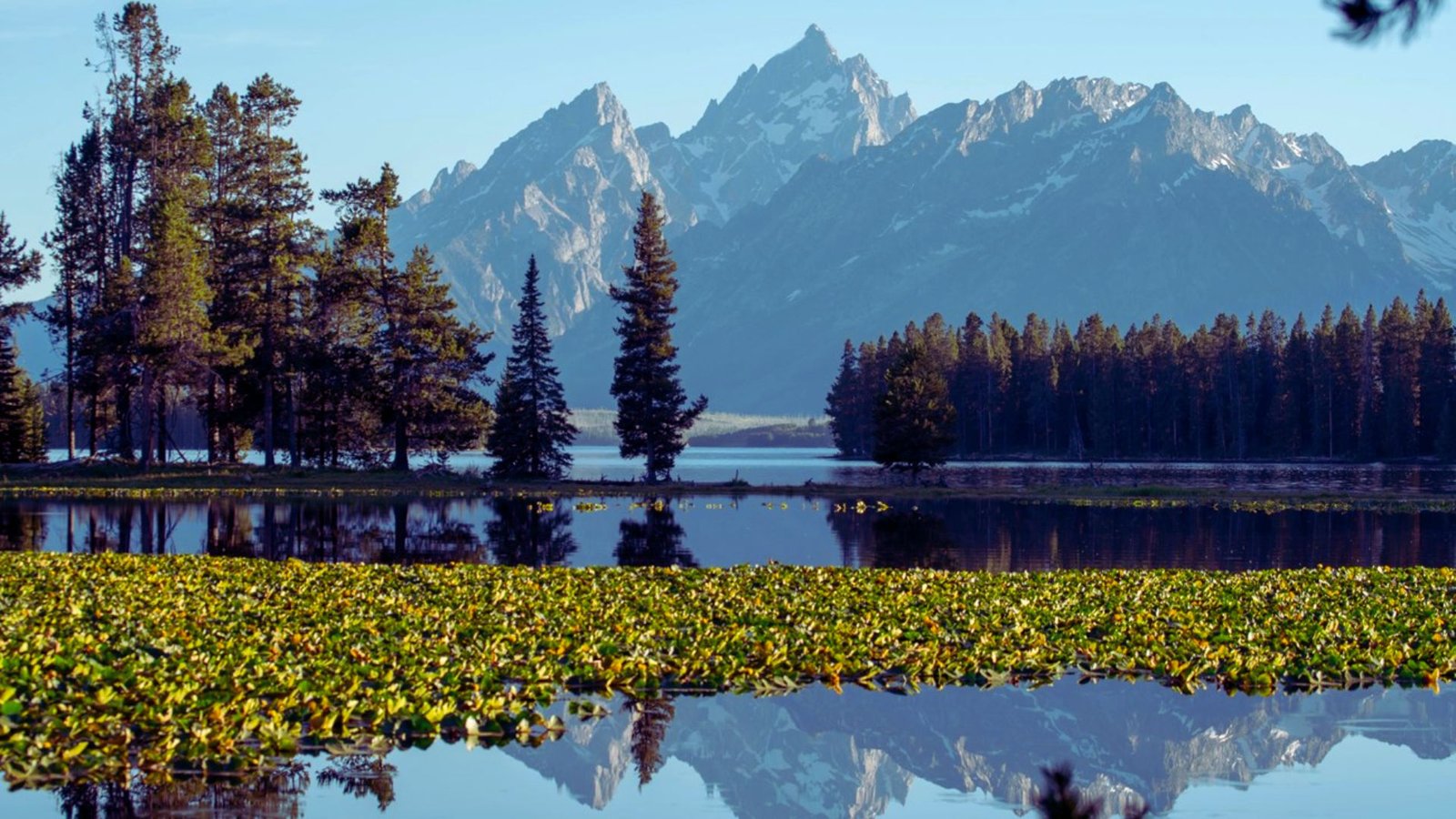 A serene lake reflecting trees and mountains under a clear sky, creating a picturesque natural landscape.