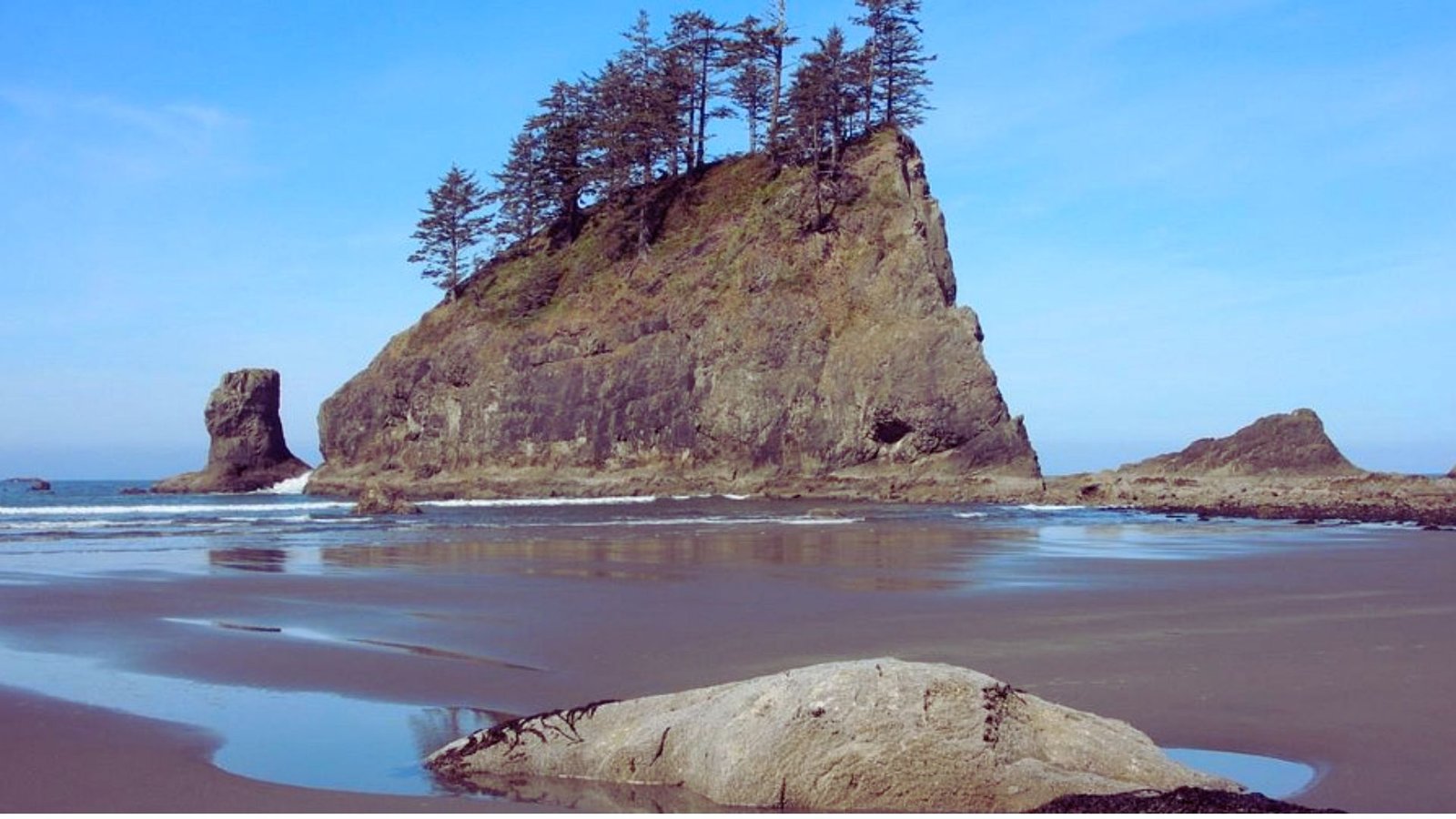 A rugged rock formation on the beach, surrounded by lush green trees under a clear blue sky.