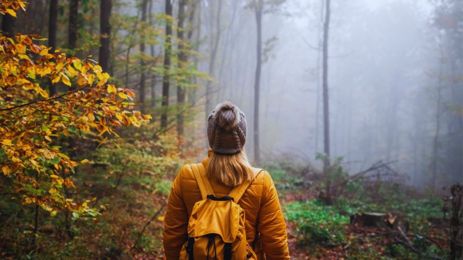  A woman in a yellow jacket walking along a path in a lush green forest.
