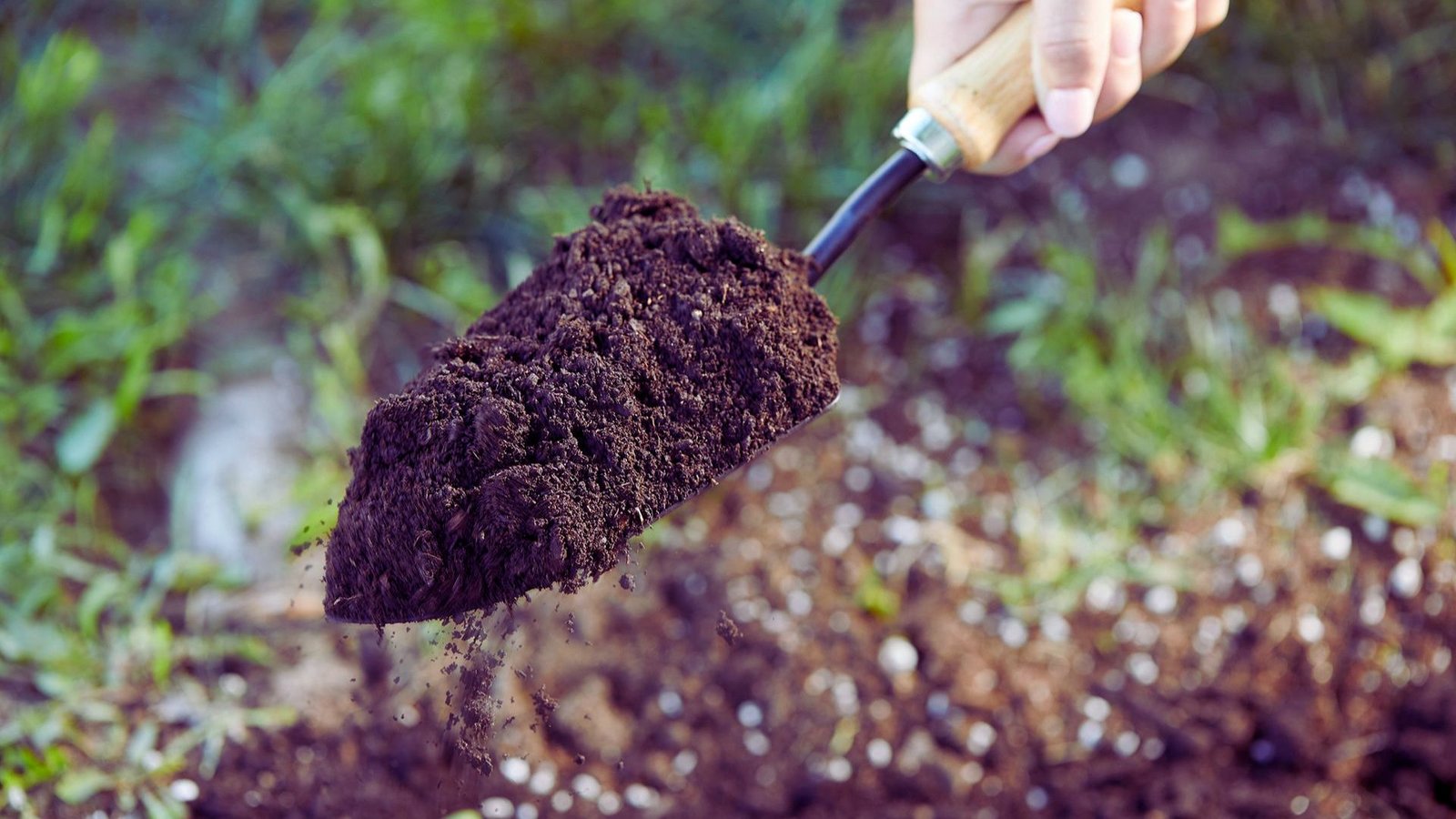  A person digs into the ground with a shovel, actively moving dirt in a garden or construction site.
