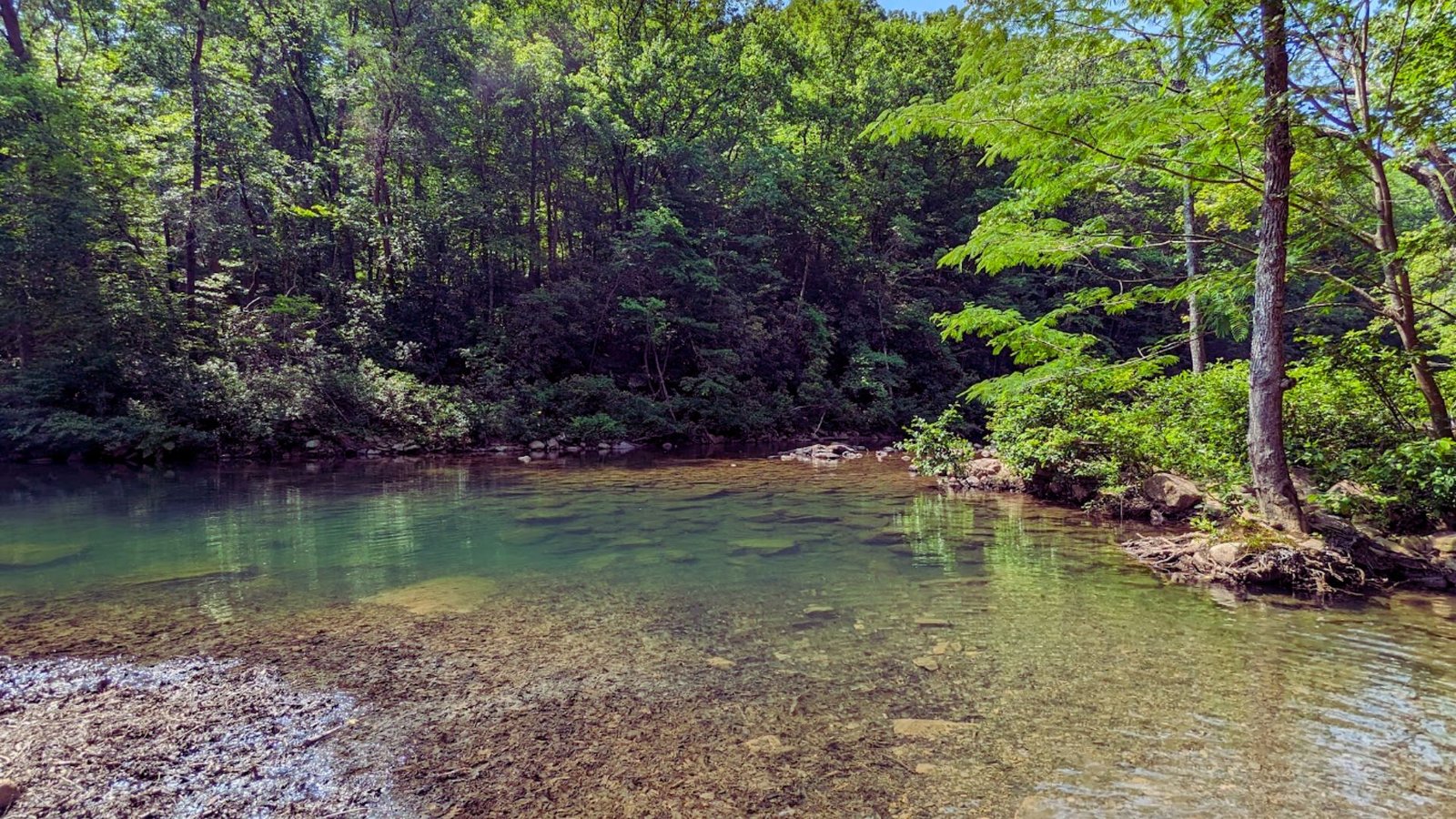 A serene river flows through lush greenery, bordered by trees and vibrant grass under a clear blue sky.
