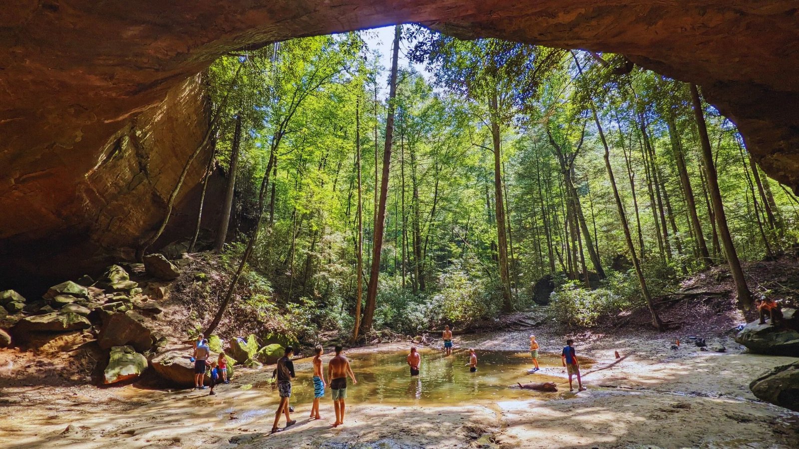 A group of people stands inside a forest cave, surrounded by rocky walls and greenery.