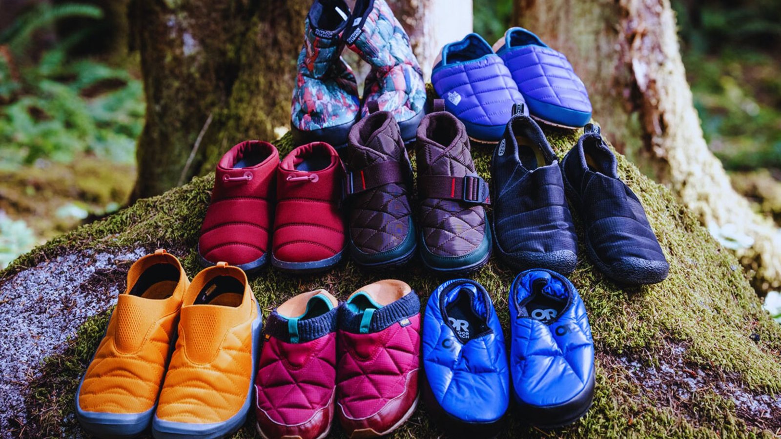 A variety of bright shoes resting on a bed of moss, highlighting their colors against the rich green background.