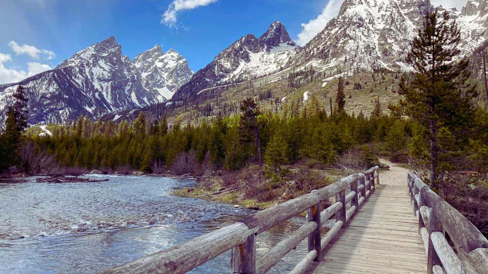 A person stands on a bridge overlooking a river, surrounded by lush greenery and a clear blue sky.
