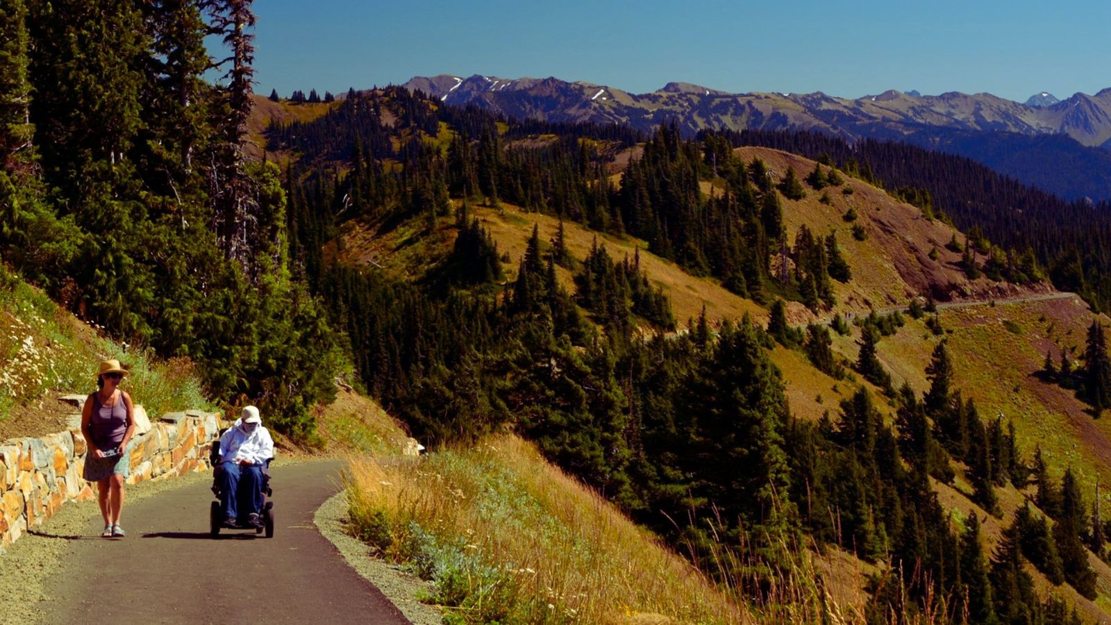  A couple rides bicycles together on a scenic bike trail surrounded by trees and greenery.