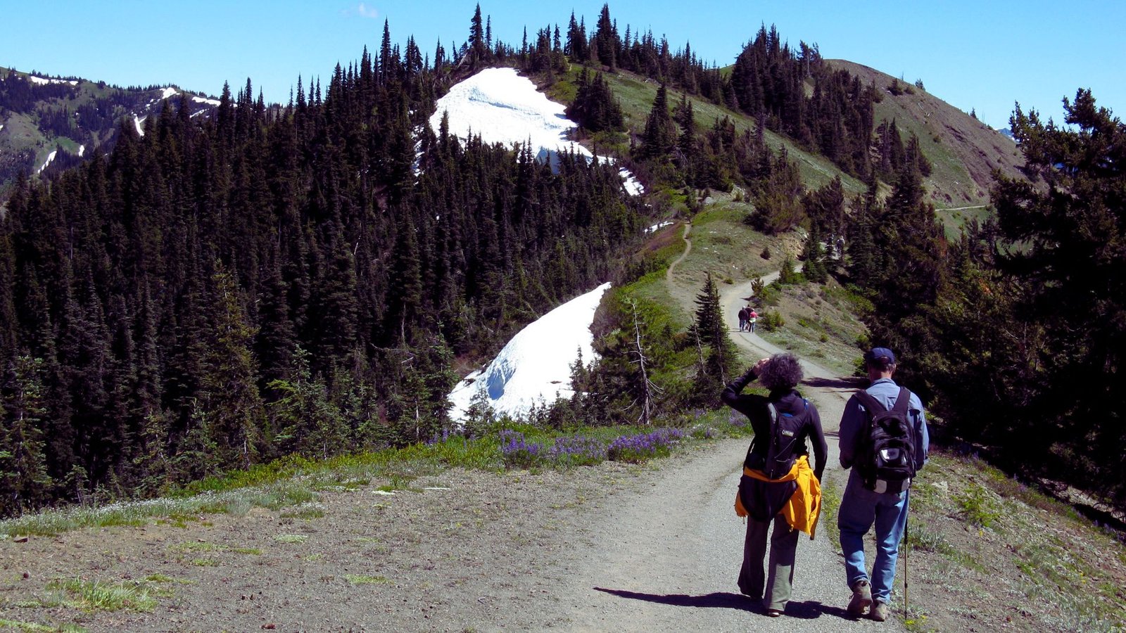 Two individuals walking side by side on a scenic trail surrounded by trees and greenery.