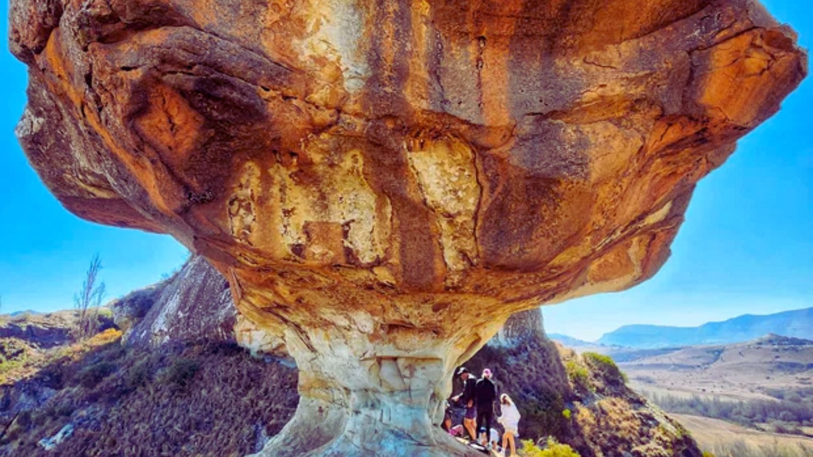 A group of people standing triumphantly on a large rock formation, overlooking a scenic landscape.