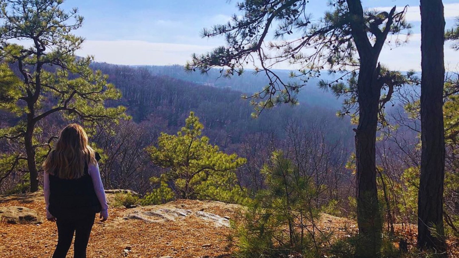 A woman stands atop a mountain, surveying the expansive woods that stretch out beneath her.