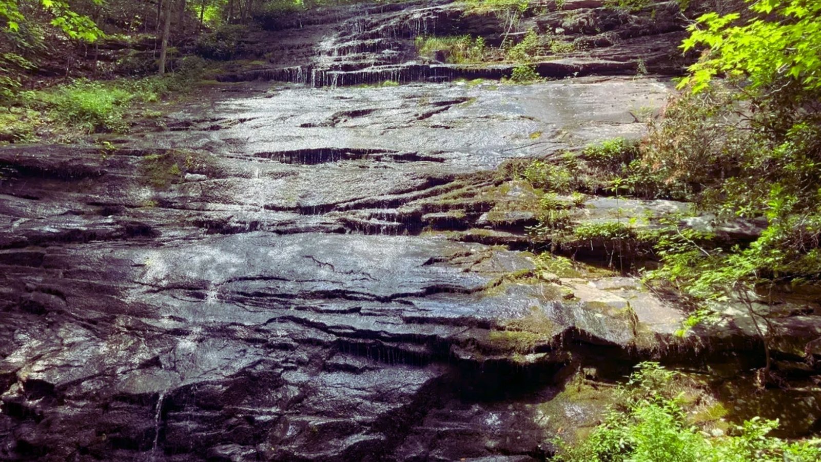 Jason Klein's photograph showcases a majestic waterfall flowing over cliffs, framed by vibrant foliage.