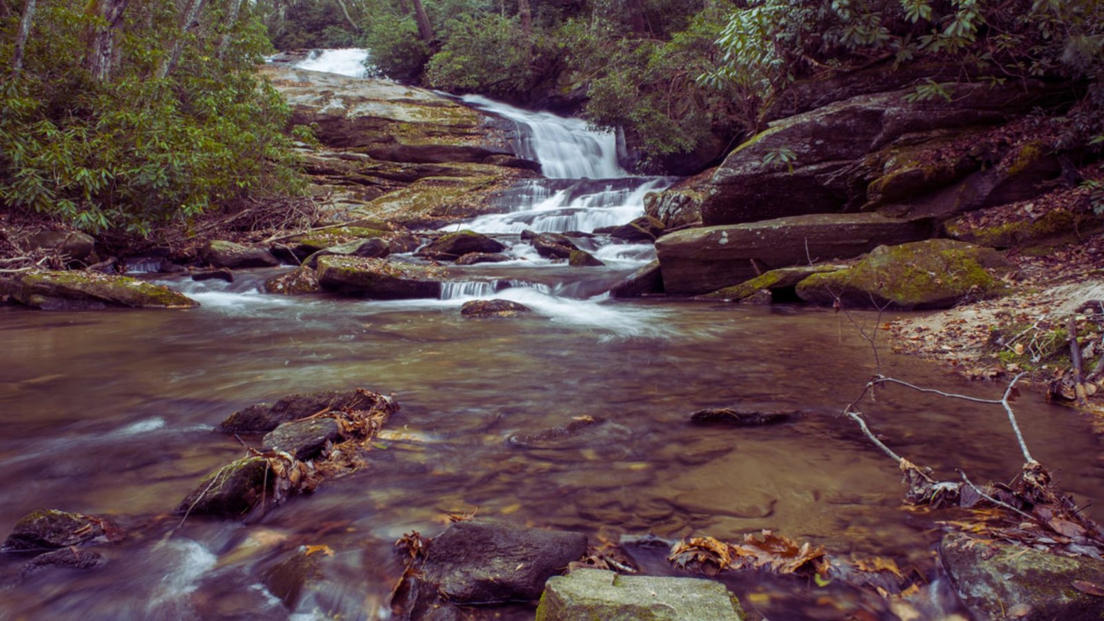 A beautiful waterfall tumbles over rocks, nestled among trees in a quiet forest landscape.