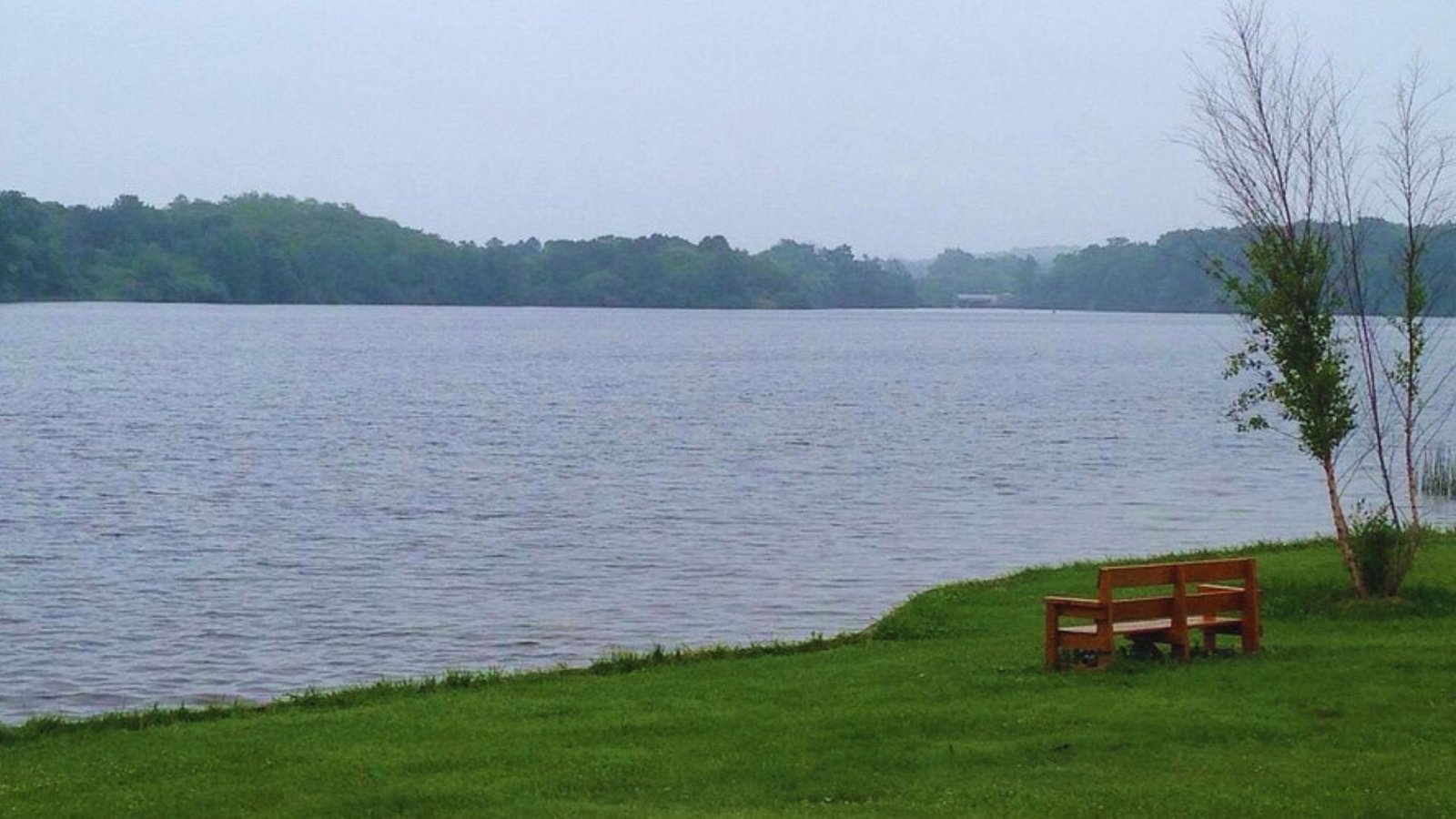  A wooden bench on green grass beside a tranquil lake, inviting relaxation and scenic views.
