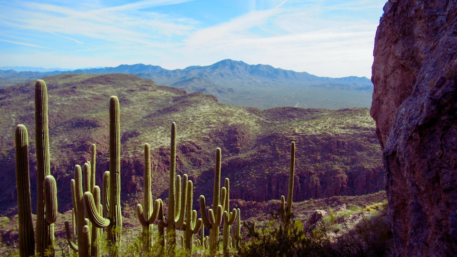 8. Saguaro National Park East
