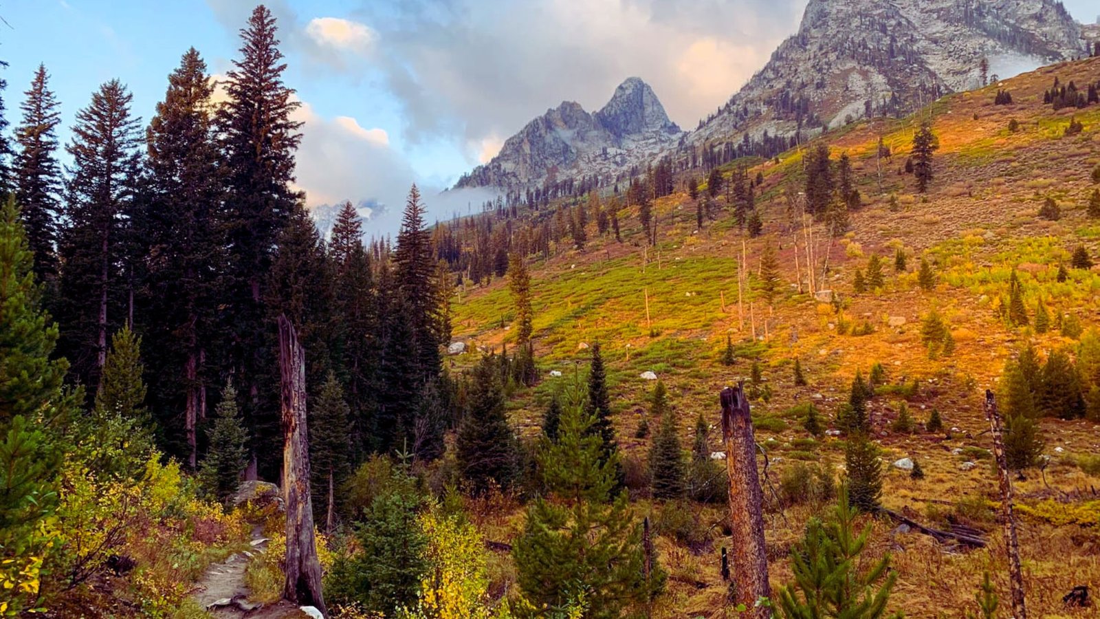  A winding trail through lush green mountains, surrounded by trees and grass under a clear blue sky.
