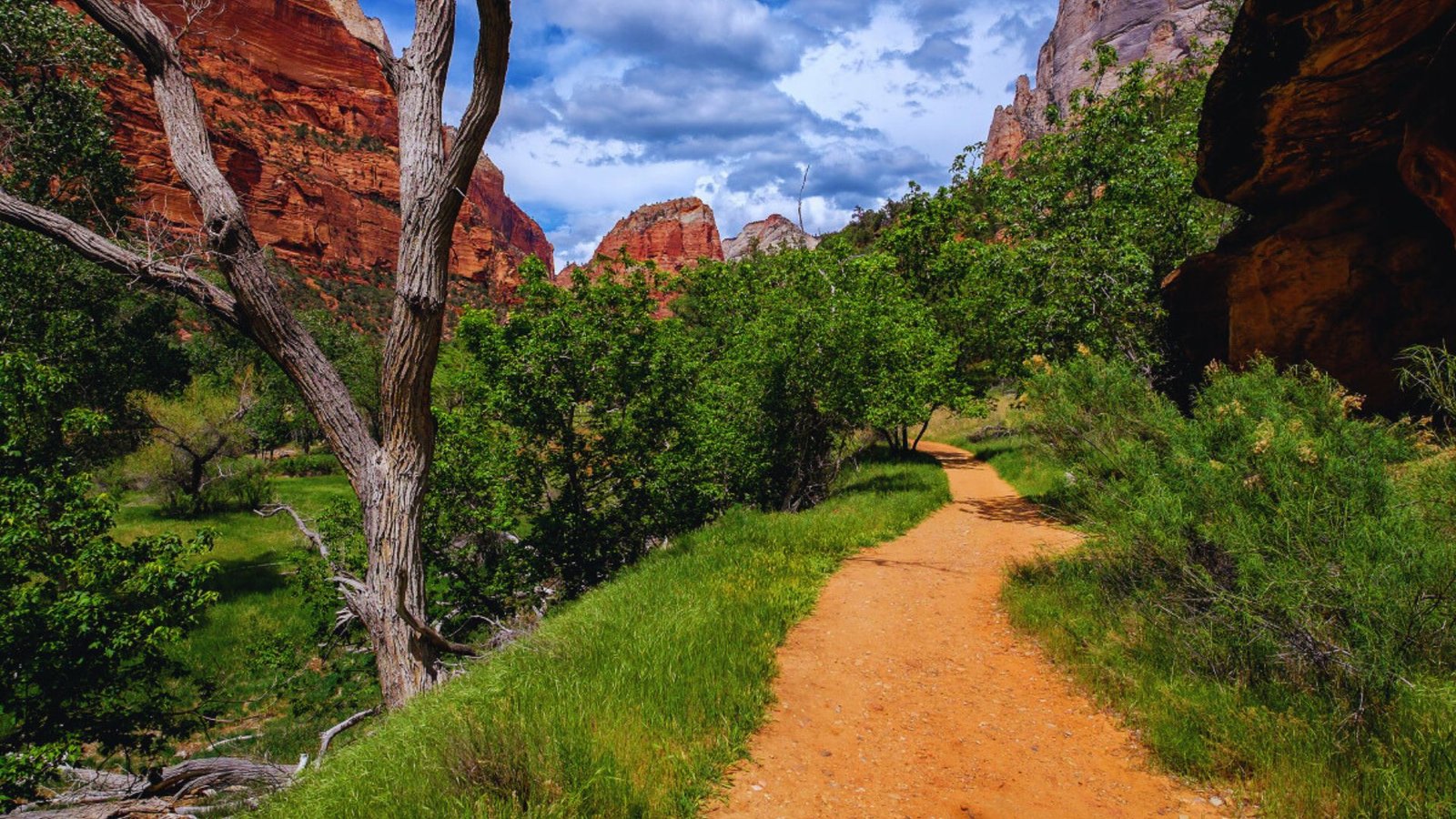 A winding trail through a canyon, surrounded by trees and rocks, starting from The Grotto Trailhead