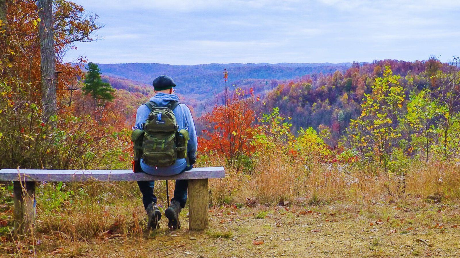  A man relaxes on a bench, observing the expansive forest landscape in front of him.