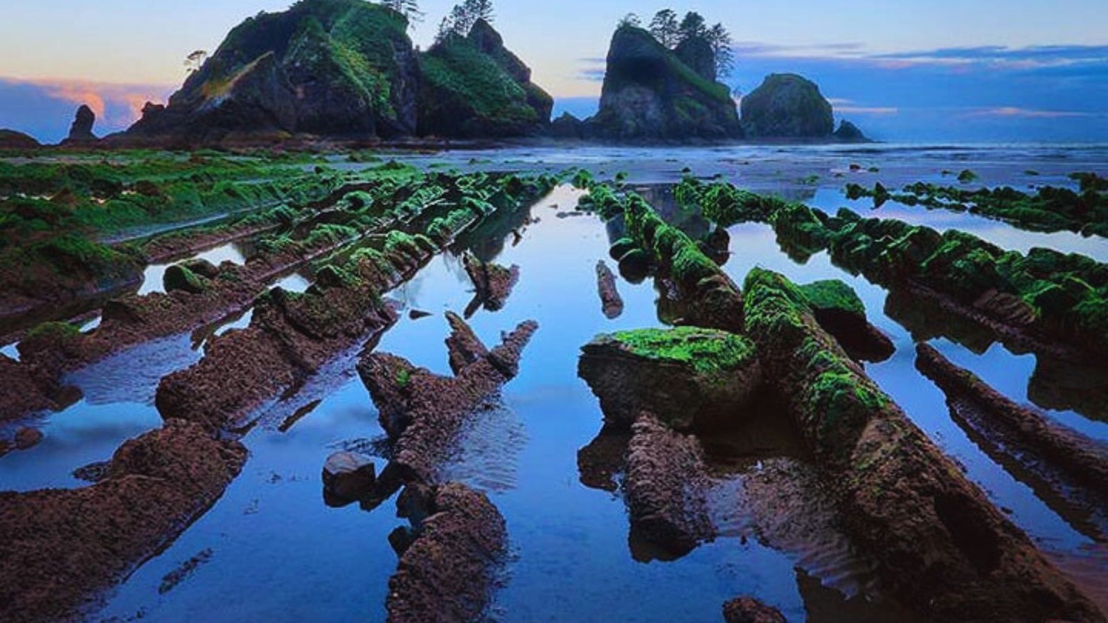 Photograph of mossy rocks at sunset, captured by Jimmy Kirk, showcasing the beauty of Shi Shi Beach Trail.