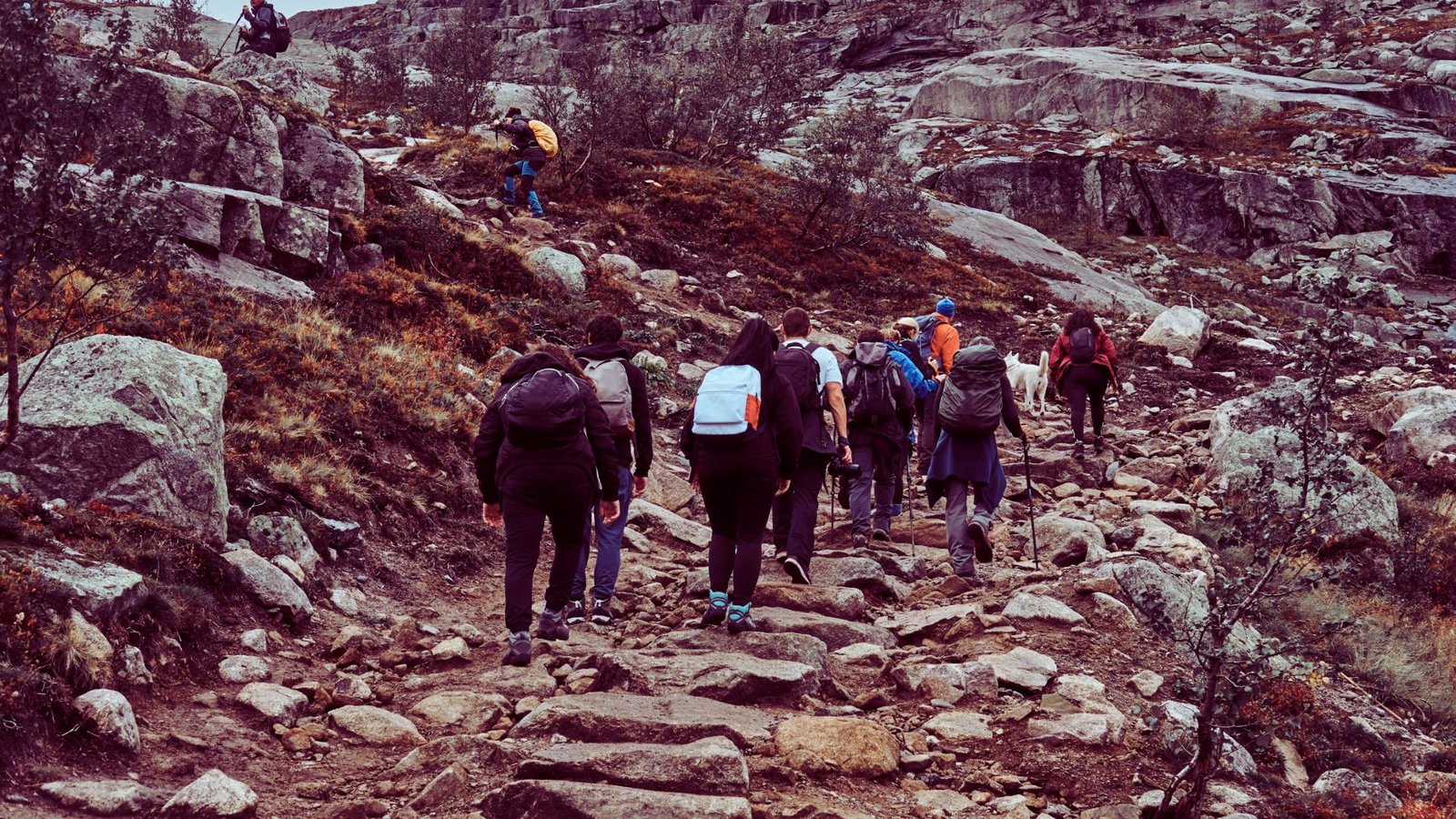 A group of people ascending a rocky trail, surrounded by natural scenery and rugged terrain.