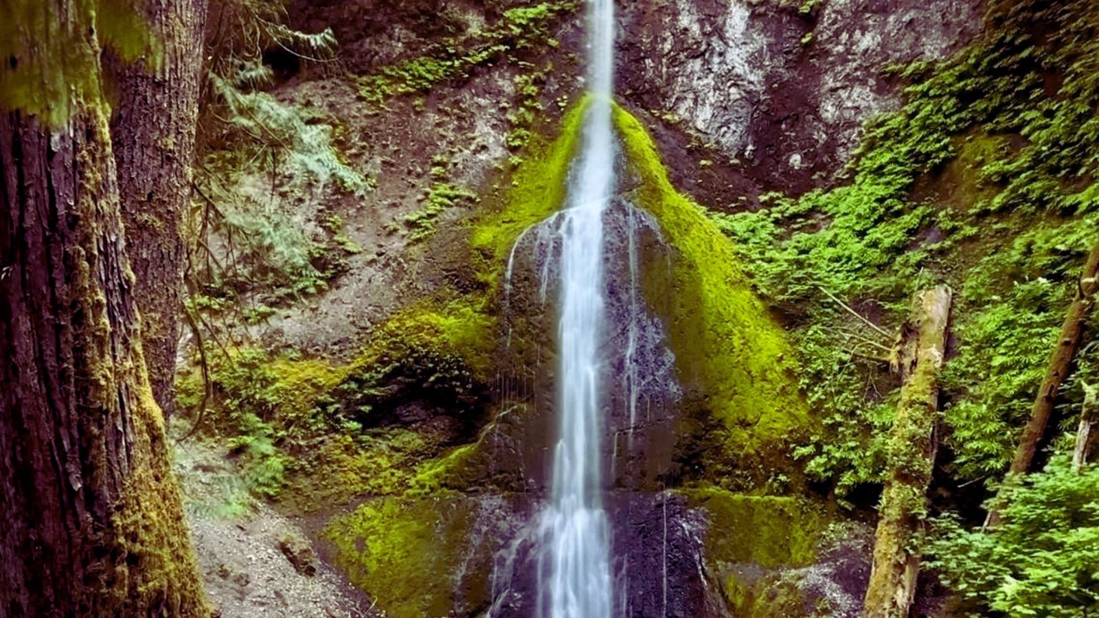 A serene waterfall cascades down, surrounded by lush green trees in a tranquil natural setting.