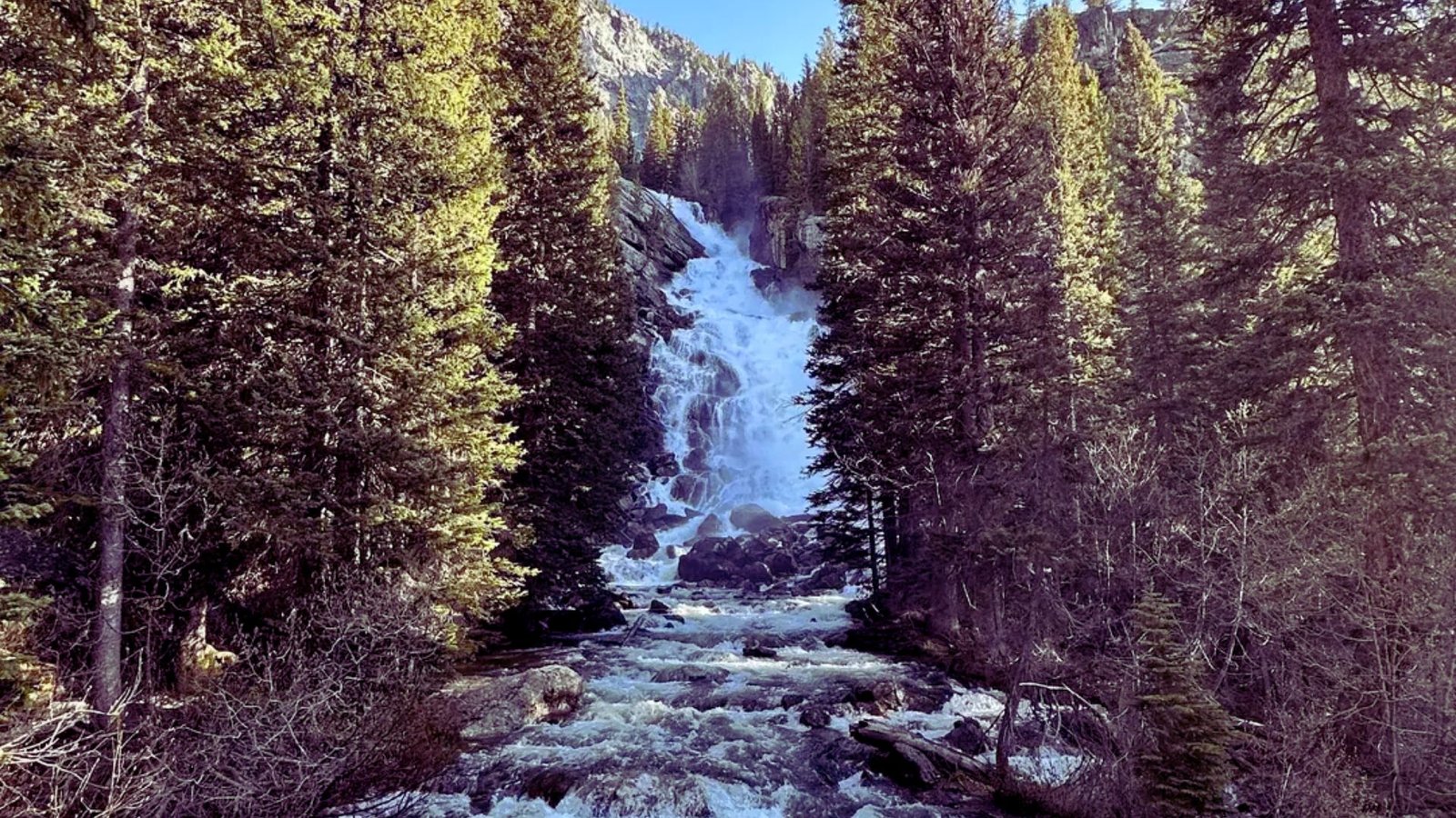 . A serene mountain waterfall cascading down rocks, surrounded by lush green trees.
