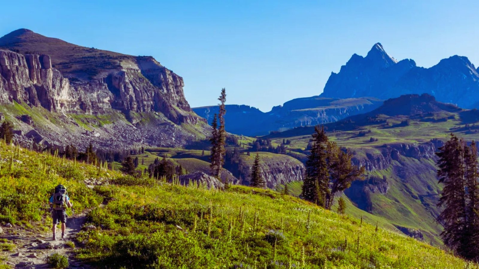 Hiker on a mountain trail surrounded by green grass and trees, enjoying the scenic outdoor landscape.
