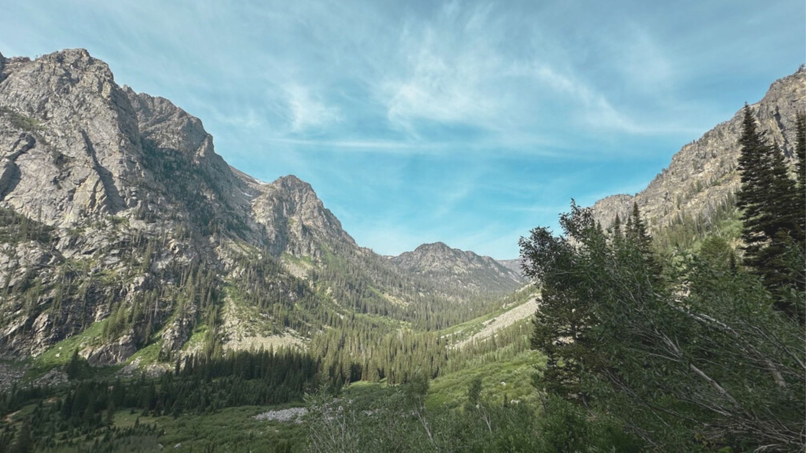 A scenic mountain range with lush trees under a clear blue sky.