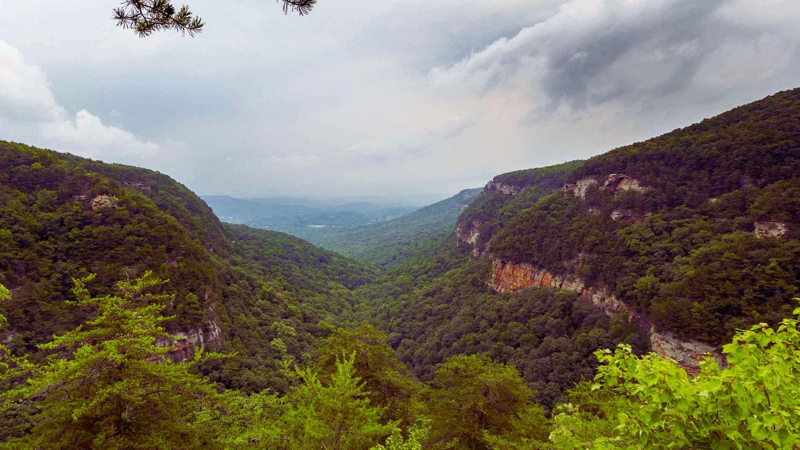Scenic view of mountains and trees from a hilltop, showcasing lush greenery and distant peaks under a clear sky.