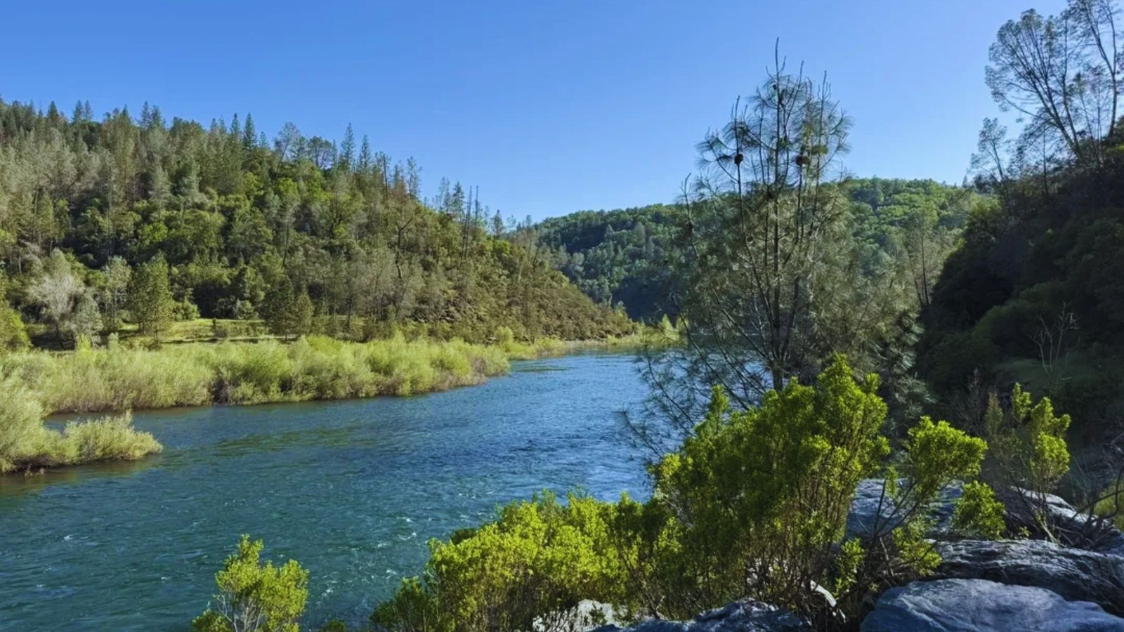 A serene river flows through a lush forest, surrounded by rocks and tall trees, creating a tranquil natural scene.
