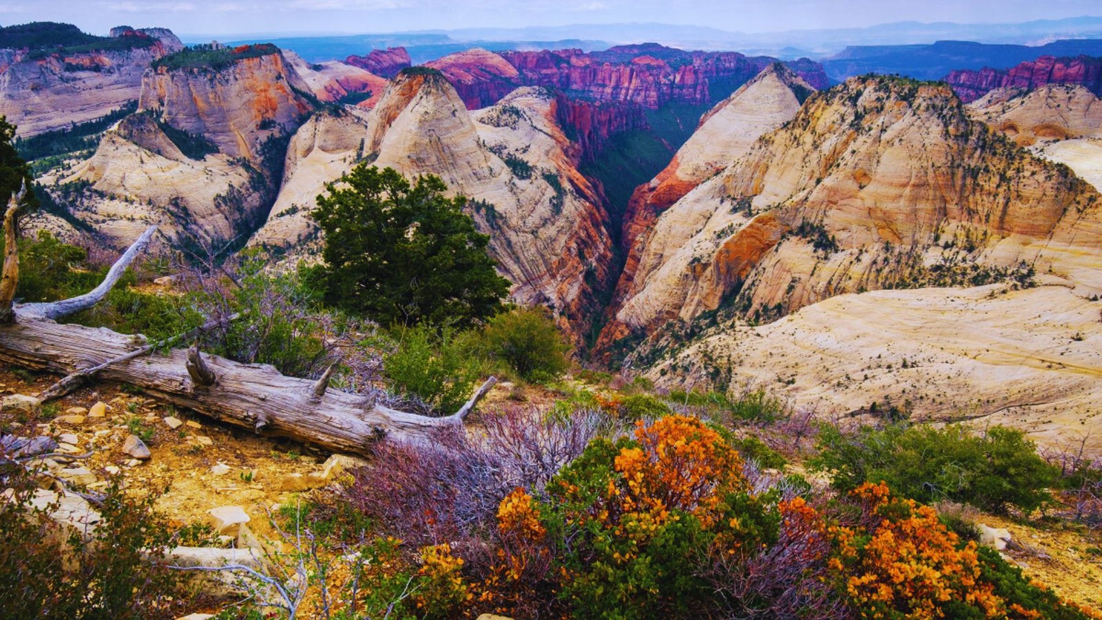 Scenic view of Zion National Park, Utah, showcasing the stunning landscapes along the West Rim Trail.