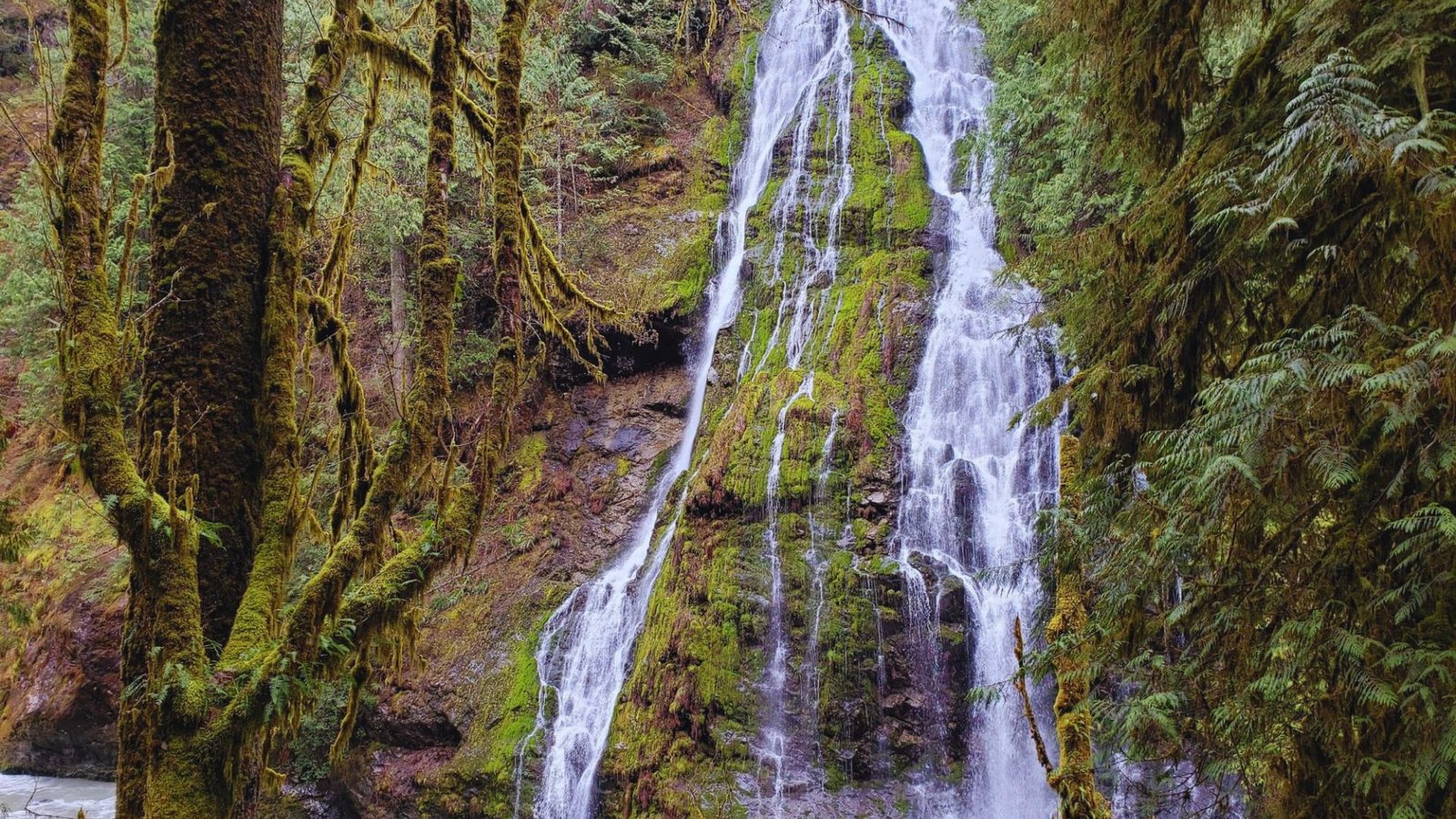A serene waterfall cascades through lush trees and vibrant moss along the Boulder River Trail.