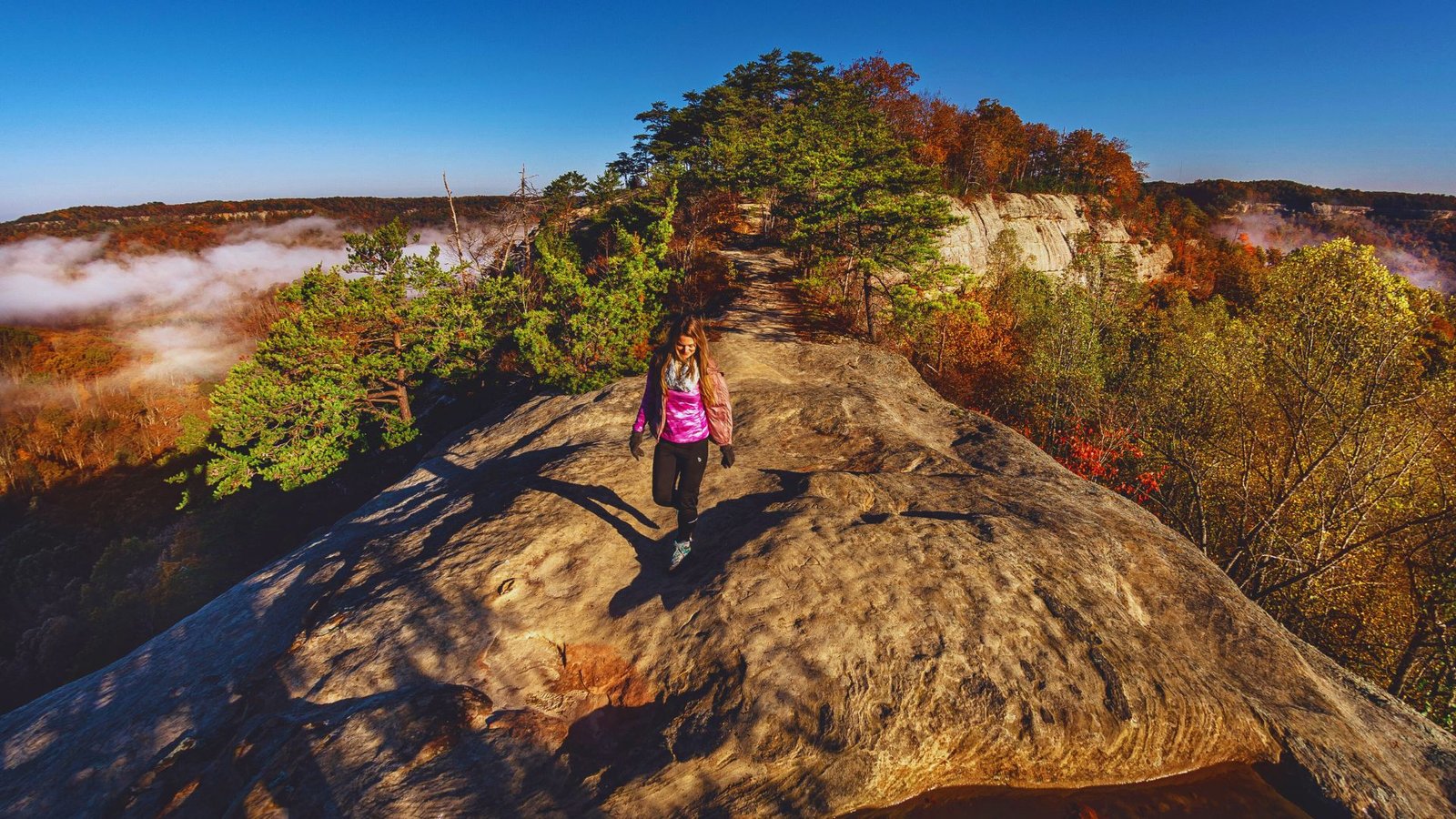 A woman stands on a rock surrounded by lush greenery in a serene forest setting.