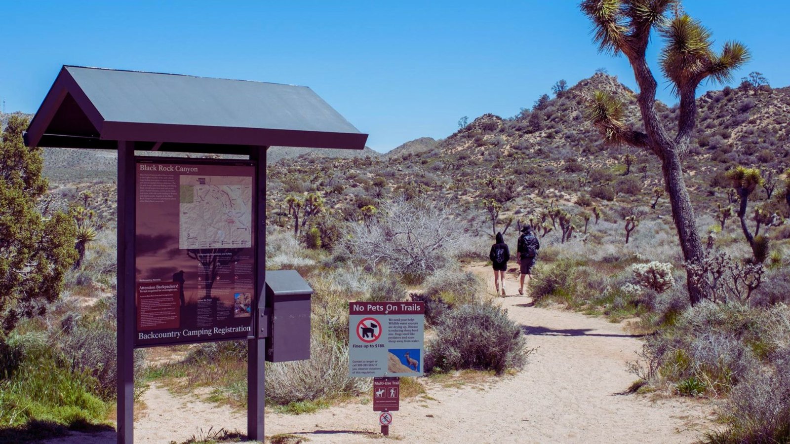 Sign marking the entrance to Joshua Tree National Park, featuring the park's name and iconic Joshua tree imagery.