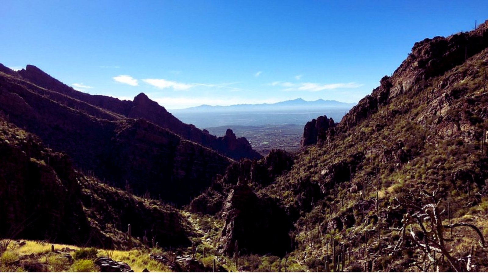  Panoramic view from a mountain peak, showcasing a vast desert landscape under a clear blue sky.
