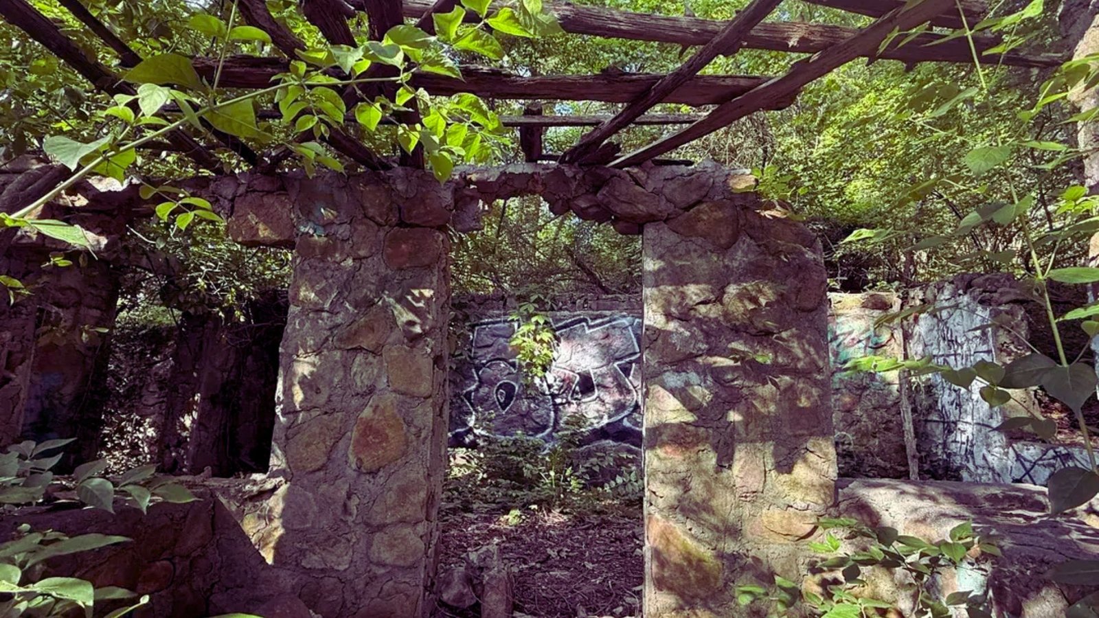 15. Stringer's Ridge Blue Trail