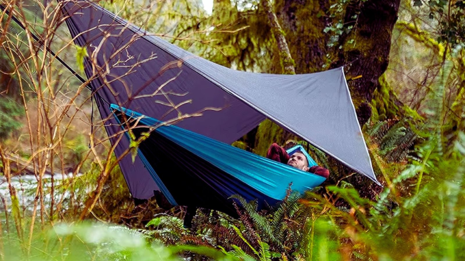 A person relaxing in a hammock suspended between trees in a serene forest setting.