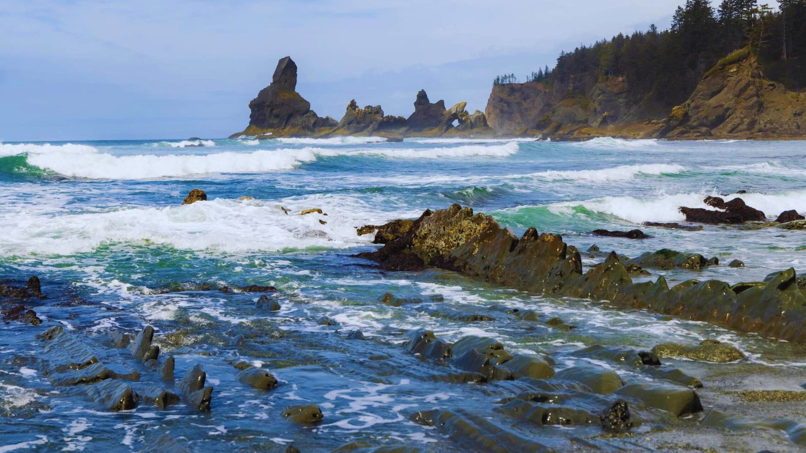  Waves crash against the rocky shore at Shi Shi Beach, creating a dynamic coastal scene.
