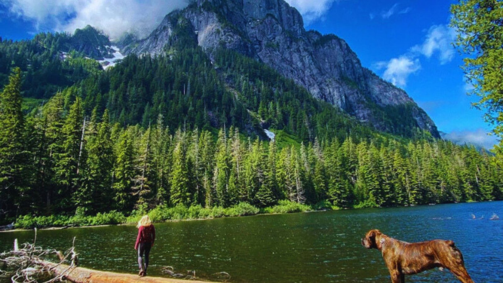 A woman and her horse stand on a log by Barclay Lake, with a stunning mountain backdrop in Washington.
