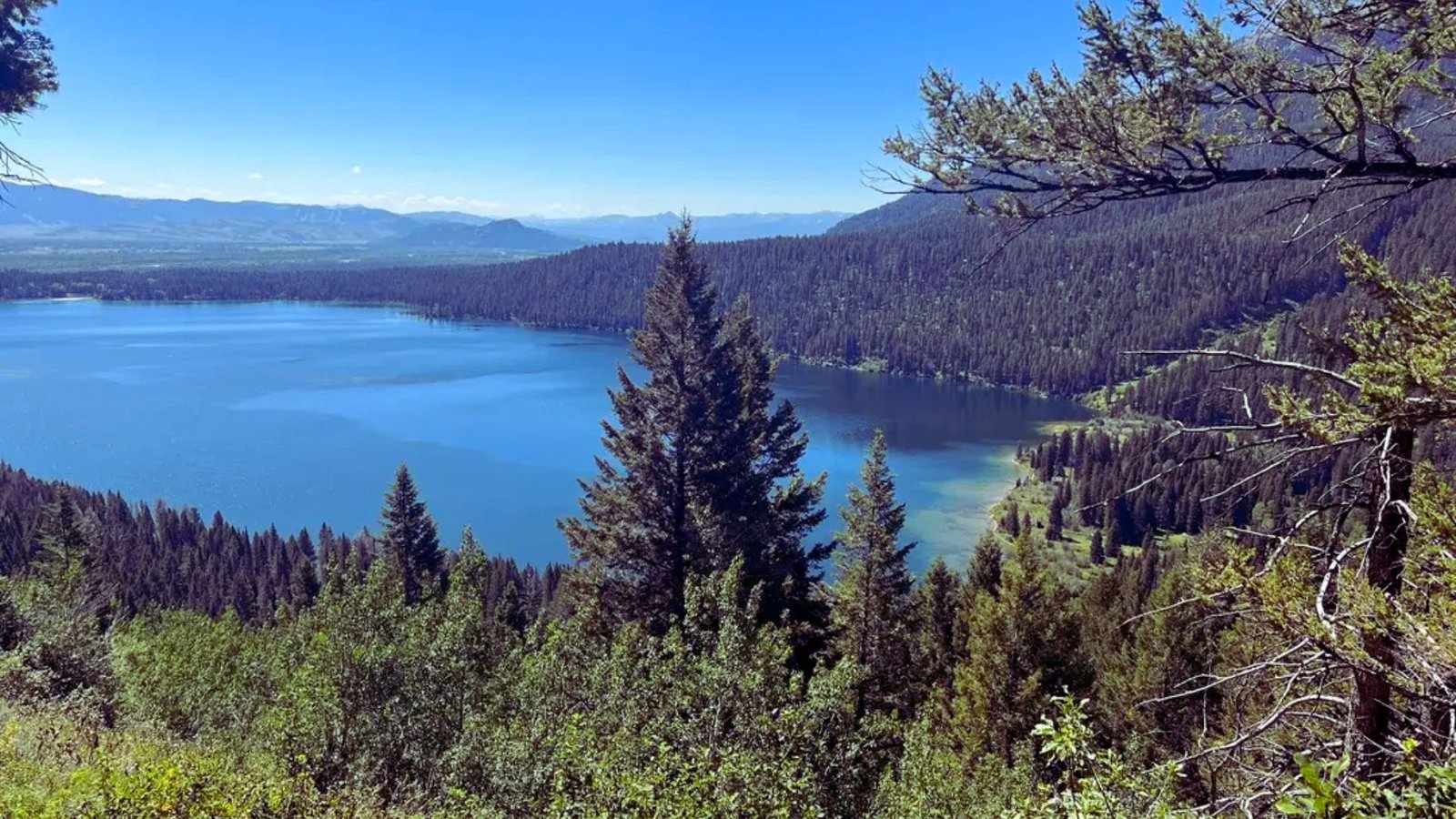  A serene lake bordered by lush trees and majestic mountains under a clear blue sky.