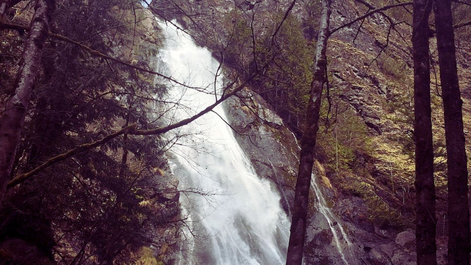 16. Rocky Brook Falls Trail

