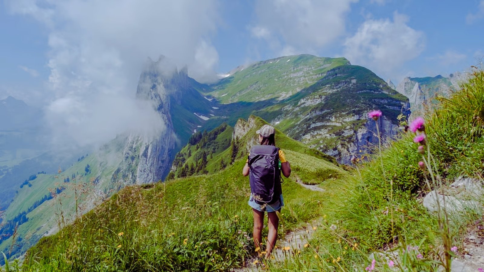 A hiker ascends a mountain trail, surrounded by vibrant flowers in the background.