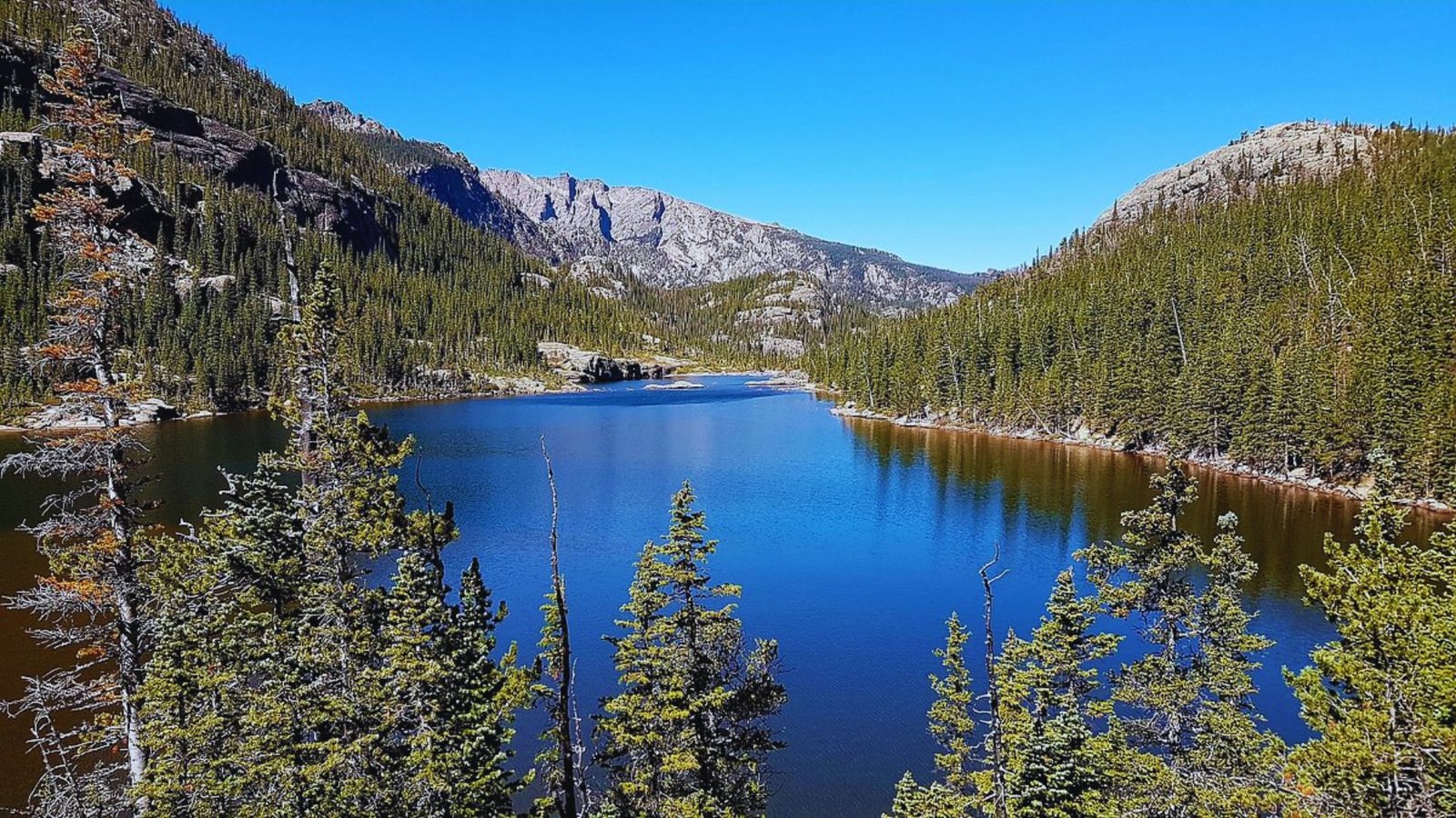 A serene lake bordered by lush trees and majestic mountains under a clear blue sky.