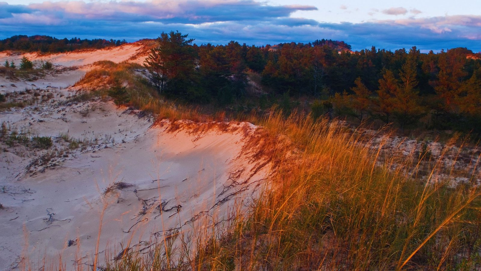  Sunset casts warm hues over expansive sand dunes, creating a serene and picturesque desert landscape.